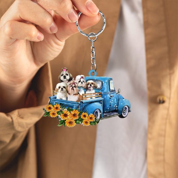 WithShihTzuTakeTheTripKeychain.jpg